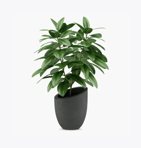 product-image-1_optimized